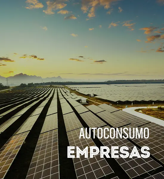 Autoconsumo Empresas